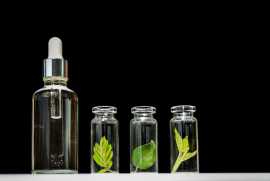 Revitalize Your Lashes and Brows with Growth Serum, Memphis