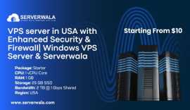 VPS server in USA with Enhanced Security , Homer