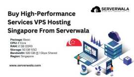 Buy High-Performance Services VPS Hosting Singapor, Novena