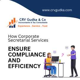 How Corporate Secretarial Services Ensure., London