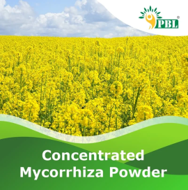 Mycorrhiza Fertilizer  | Peptech Biosciences | Man, ¥ 1,000