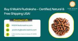 Buy 6 Mukhi Rudraksha – Certified, Natural & F, $ 0
