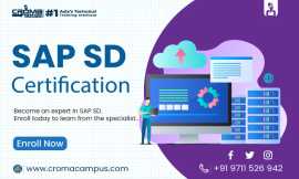SAP SD Certification, Noida