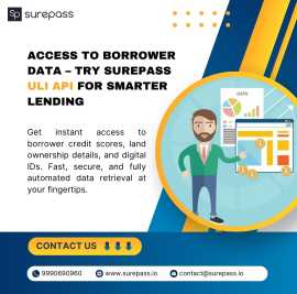 Access to Borrower Data – Try Surepass ULI API, New Delhi