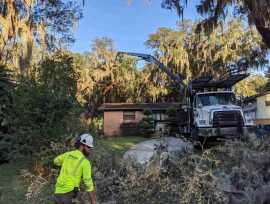 Emergency Tree Removal St. Johns, FL, Jacksonville