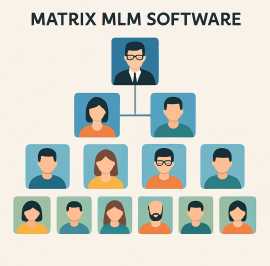 Boost Your MLM Business  with Matrix MLM Software, Chandigarh