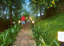 Private Pool Villas in Munnar - Stride Hotels , Munnar