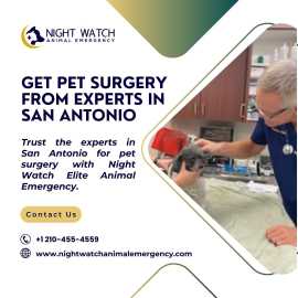 Trusted Pet Surgery Services in San Antonio, San Antonio