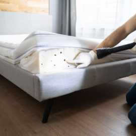 Sleep Tight Tonight: Guaranteed Bed Bug Removal in, Leicester