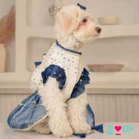 Exclusive Collection of Dog Kurtas & Dog Lehen, New Delhi
