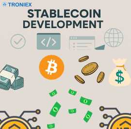 Enterprise Stablecoin Development: Building Secure, Madurai