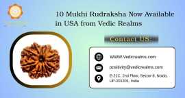 10 Mukhi Rudraksha – Now Available in USA , $ 25