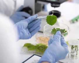 Biotechnology Colleges in Uttar Pradesh, Lucknow