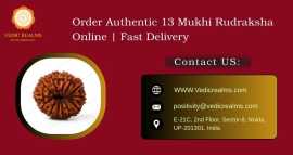 Order Authentic 13 Mukhi Rudraksha Online, $ 0