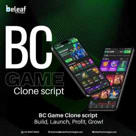 Want To Build A Crypto Casino Like BC Game? Beleaf, San Francisco