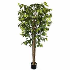 Brighten Up Your Decor with Fake Plants, $ 0