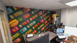 Custom Wall Murals for Homes & Offices , San Marcos
