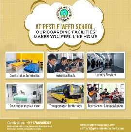 CBSE Boarding School in Dehradun - Pestle Weed, Dehradun