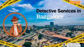 Ion Detective Agency – Trusted Detective Services , Alur