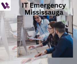 Expert Help for Any IT Emergency Mississauga Busin, Toronto