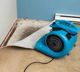 After Death Cleanup: Sensitive and Professional As, Toronto