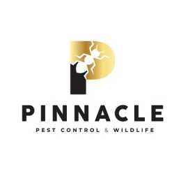 Pinnacle Pest Control & Wildlife, Innisfil