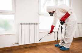 Termite Pest Control Sydney, Lakemba