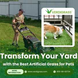 Create the Perfect Pet-Friendly Yard , Sunnyvale
