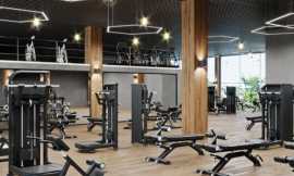 Affordable Commercial gym setup cost in India, $ 0