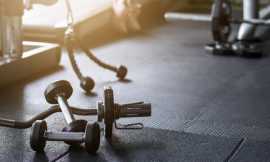 Most Searched Gym Equipment Manufacturers in India, $ 0