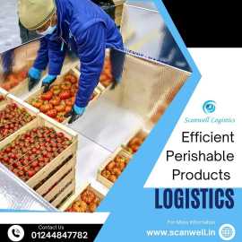 Efficient Perishable Products Logistics, Gurgaon