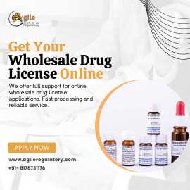 Online Wholesale Drug License Application , Noida
