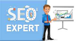 Why Jaipur Businesses Need Expert SEO Services , Jaipur