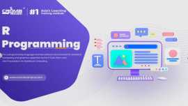 Master Data Analysis with R Online Training Course, Noida