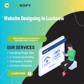 Professional Website Designing by Websofy Software, Lucknow