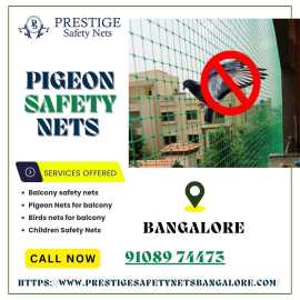 Best Pigeon Safety Nets Bangalore, Bengaluru