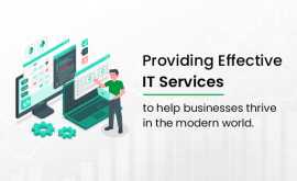Best Software Developer Company in India, Lucknow