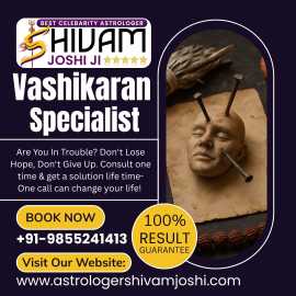 Best Vashikaran Specialist Astrologer in Florida, Chandigarh