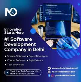 Software Development Company in Delhi , New Delhi