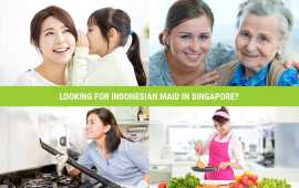 Trusted Indonesian Fresh Maid Provider Singapore, Bukit Timah