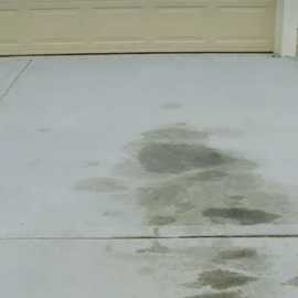 How To Clean Dog Pee Off on Concrete, Woodland Hills
