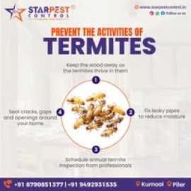 Best Ant Pest Control Services in Kurnool, Kurnool
