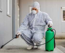 Trusted Bed Bug Removal Services in Leicester &amp, Leicester