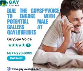 Dial the GuySpyVoice to Engage with Male Partner , New York