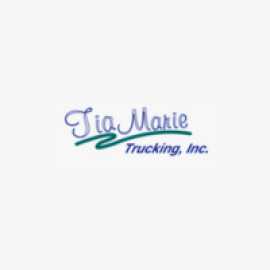  Reliable Lorry Hire with Driver Detroit, MI – Tia, Detroit
