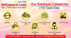 99 Database Provider - codepen, Delhi