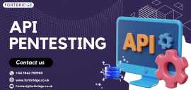 FORTBRIDGE: Trusted API Pentesting Services, London