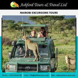 Kenya Tanzania Safaris by Ashford Tours