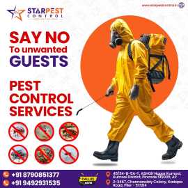 Best Ant Pest Control Services in Kurnool, Kurnool