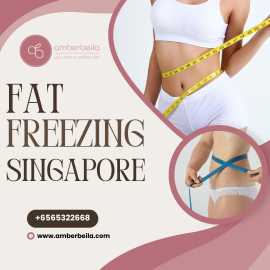 Fat Freezing Singapore – Sculpt Your Body, Bukit Timah